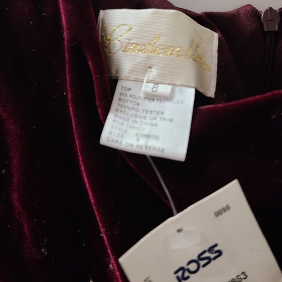 Cinderella Dress - Picture 3 of 5